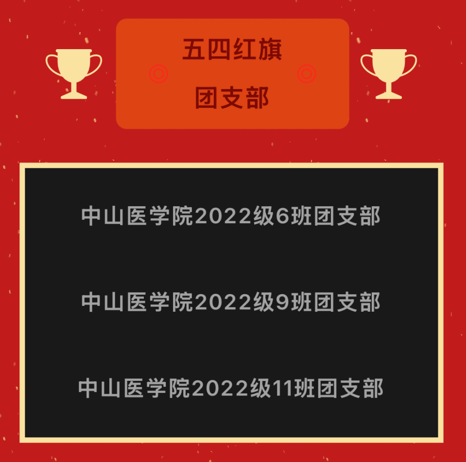 样板团支部获奖截图